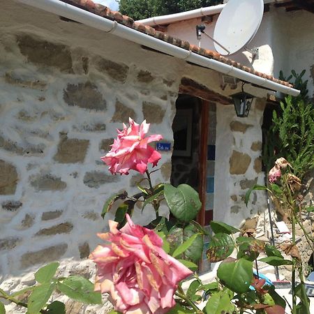 Villa D'Arte Mortola Superiore Quarto foto
