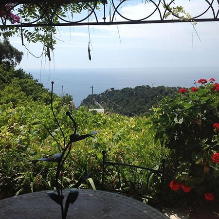 Villa D'Arte Mortola Superiore Quarto foto
